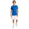 Osaka Training T-Shirt Blauw